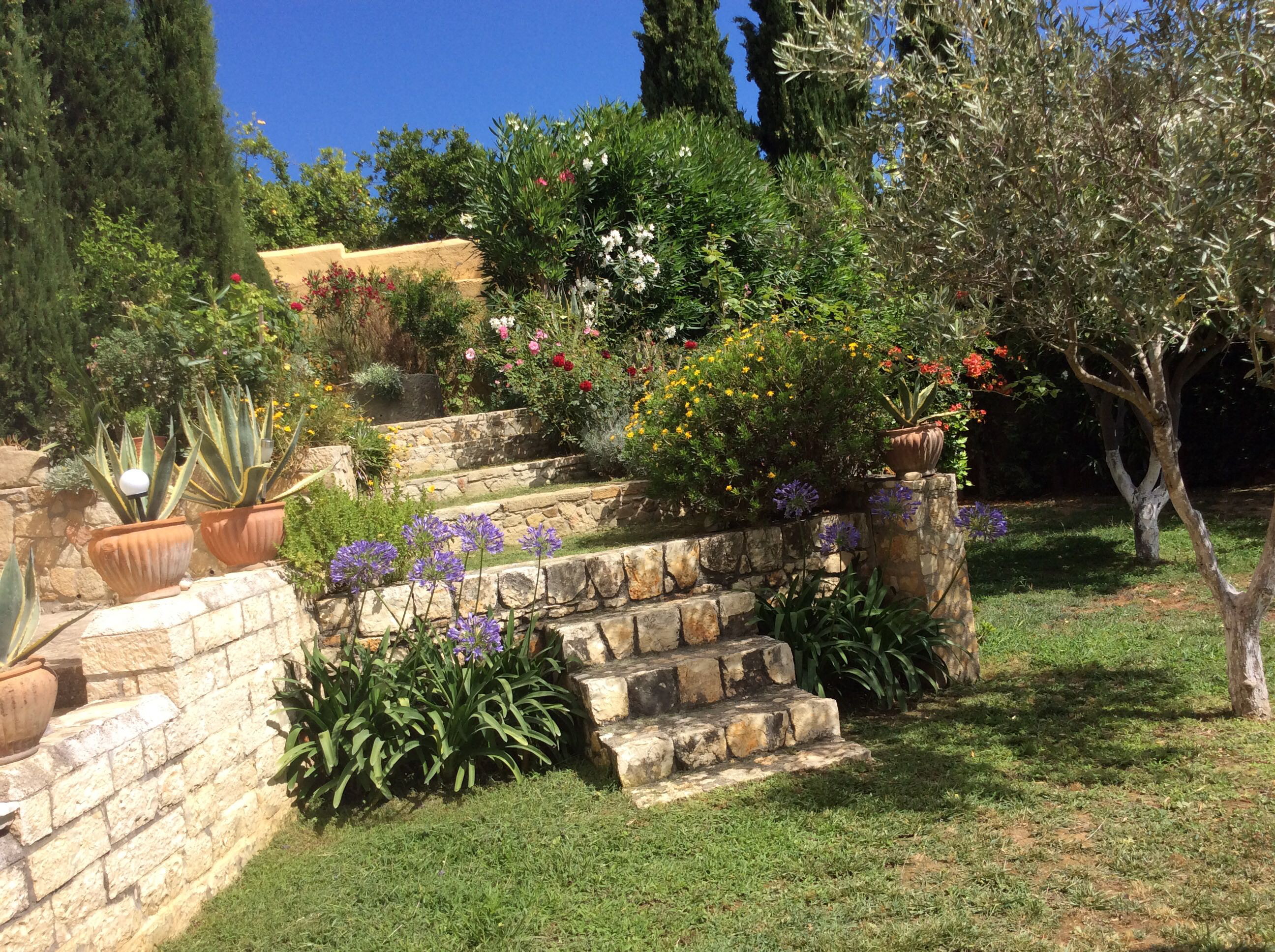 Gartenansicht mit Steintreppe
